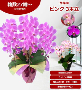 yyV1/ŒZɓ͂zӒ 3{ 27֑O` ̎s\ Yn bsOED ĕptbgt TVЉ  R`E  JXj j  a 