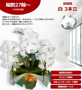 �y�_�ѐ��Y��b��/�ŒZ�����ɓ͂��z�Ӓ��� 3�{�� 27�֑O��` �̎������s�\ �Y�n���� ���b�s���O�E���D���� ��ĕ��p���t���b�g�t TV�Љ� ������� �R�`���E���� ���� �J�X�j�� ���j�� �� 