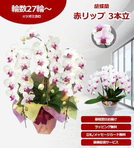�y�_�ѐ��Y��b��/�ŒZ�����ɓ͂��z�Ӓ��� 3�{�� 27�֑O��` �̎������s�\ �Y�n���� ���b�s���O�E���D���� ��ĕ��p���t���b�g�t TV�Љ� ������� �R�`���E���� ���� �J�X�j�� ���j�� �� 