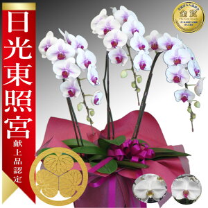 y_ѐYb/yz֌Ӓ n͐ԃbv 3{ 30ց` ̎s\ Yn bsOED ĕptbgt TVЉ  R`E  JXj