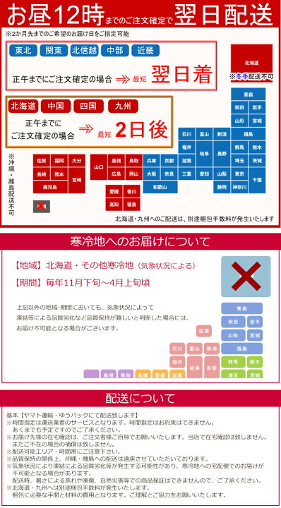 楽天市場】☆世界ラン展多数受賞!椎名洋ラン園のカーリー2本立□送料 