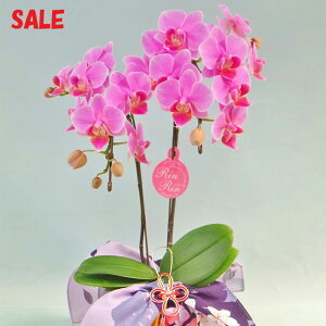 yy_NxzӒ×C~ Ղ̌Ӓ sNorԃbvyJXjzyҗjzyJƏjzyzyACjzyړ]jzyzz