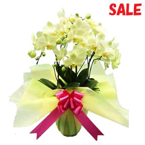 EW!Ŗm̃J[[3{~fBӒ z