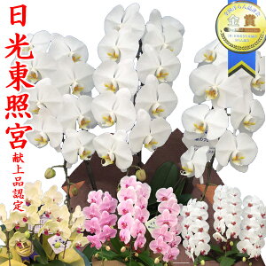 yɓ͂zӒ 3{ 27ց` y  sN ԃbv F (R`E  JXj j  a җ Ď J@ J ړ] I AC i ސE  蕨 t