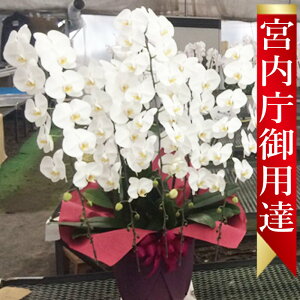 yɓ͂zyC`IVzyyΉzyNxzyz֌Ӓ5{ 60֑OyӒzyʔ́zylizy̔zyĕEǗ@zz