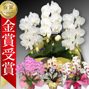 yɓ͂z_ѐYb܎܁~fBӒ(R`E)Ӓ3{Ӓ j P ɓ͂邨ԉ z