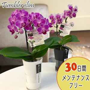 y̓zEW!Ŗm̃~fBӒ^u[|bgX2{ yy_Nxzyy_yjcƁzyy_jcƁzj z