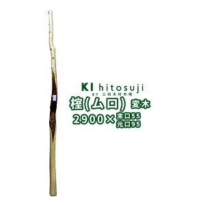 yϖ؁zij 2.9m 55mm 16050663@DIY ؍ ޗ ϖ ۑ ̊  R VR V[EChE EBhEfBXvC Cxg 哹 ނ냢