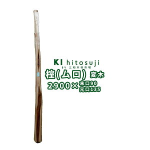 yϖ؁zij 2.9m 90mm 16060362@DIY ؍ ޗ ϖ ۑ ̊  R VR V[EChE EBhEfBXvC Cxg 哹 