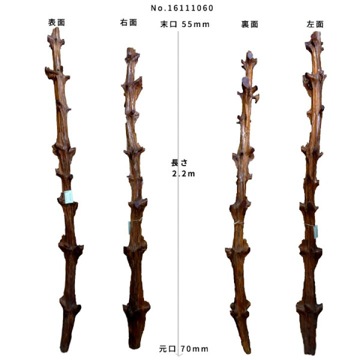 楽天市場】【変木】松 シャレ 長さ2.2m 末口幅55mm 16111060 ΔDIY 木材 