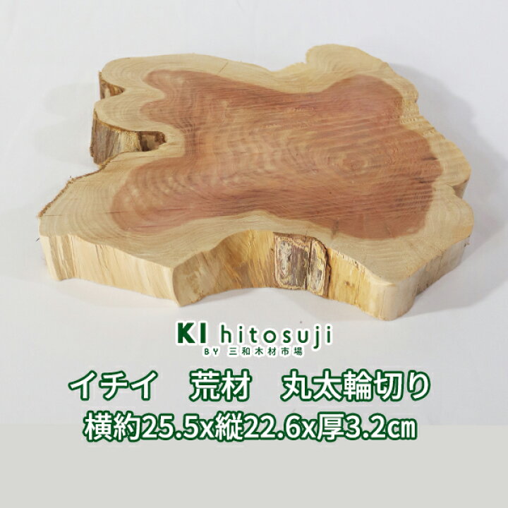 楽天市場】【板材】イチイ荒材 丸太輪切り 横約25.5cm×縦約22.6cm×厚約 