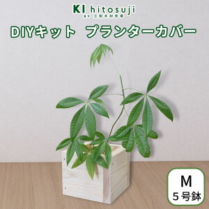 yDIYLbgzv^[Jo[ Jo[ MTCY 5 O 21×s21×18cm  HLbg v^[{bNX AؔJo[ ؐ ϗtA XNGA O DIY H ؍H ċx h H