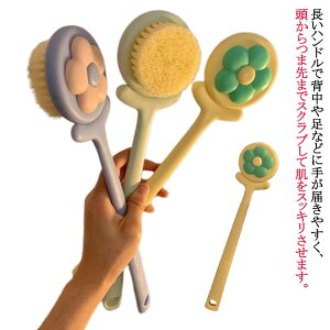 wjLr C {fB[uV Sg {fB wPA V[uV Onh uV  ̐􂤃uV wuV w v[g  ObY PA wp uV C