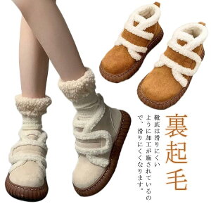 [gu[c ₷ ~ ӂӂ V[gu[c N  fB[X {A  ₷ Vv JWA n l u[c h  2F uE  h 