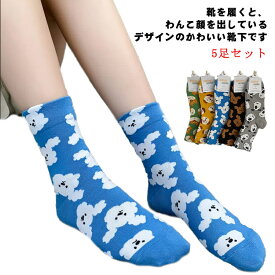 【送料無料】わんこ クラブ ソックス 靴下 5柄組 スポーツ くつした くつ下 カジュアルソックス 女の子 スタンダードソックス 大人 アニマル柄 ゴルフ テニス 子供 スクール おしゃれ デザイン 犬 ドッグ 総柄 カラフル