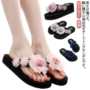 gO 3cm ₷  W[p ₷ gOT_ fB[X r t  r[`T_ ԃ`[t EFbW\[ 6cm Sn C ɂȂ T_ r[T  