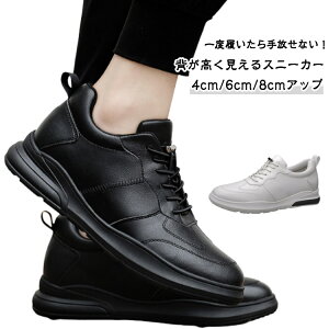 gAbv 4cmAbv ubN Y V[NbgV[Y ʊw Xj[J[ Cq[Xj[J[ 8cmAbv ʋ ^C C wȂ X|[c g[jO ₷ y 