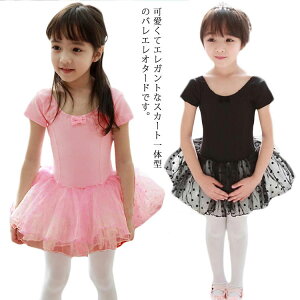 oGI^[h  q LbY XJ[gt WjA oG I^[h K bX _X V̑ ̑  qǂ ǂ oGpi { 