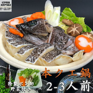 ̒ {NGZbg 500g || + 300gt 2`3lO 3tBNG   Ԃ CN yVR NG  Zbg CN Zbg  v[g Mt