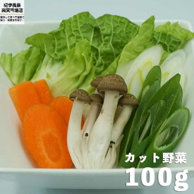 【鍋用】 カット済み野菜セット 100g 同梱可能 ( 白菜 人参 ねぎ しめじ) 買いまわり ポイント消化