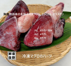 ̐S y  }O GX` ܂  W[L[ RGUCQ10 GX` VR e Ⓚ  DH z