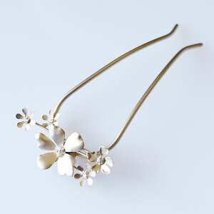 cilsoieV\^t[\XeBbNwAslCwAfUCs