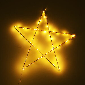 �ySALE�zZoeRumeau �]�G�����AWall Star Light gold 50cm�E�H�[�����C�g �Ǌ|�����C�g�C���e���A�G�� �G�� �C���e���A �Ǌ|�� �^�y�X�g���[