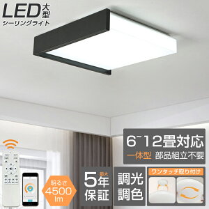 V[OCg  12 10 k VƖ LED O[5000LED Q rO _CjO xbh[ H  Vv AeB[N JtF g 8 6 O[V[OCg 