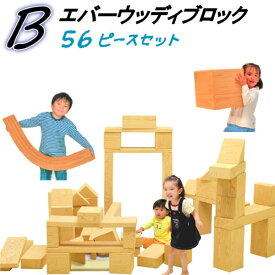 知育 おもちゃ クッション ブロック キューブ ソフト プレイ やわらか 赤ちゃん ベビー こども 子ども キッズ 施設 保育 医療 学校 キッズコーナー キッズルーム 遊具 日本製 抗菌 EVA 樹脂 【エバーウッディブロック 木目 Bセット】 【56個 セット】 木目調 20cm 規格