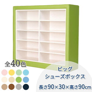 LbYR[i[ NbV ubN E^ Xg[g x` C [ I }bg qǂ Ԃ ͂ LbY[  yrbOV[Y{bNX 5i 2z y900×300×900m