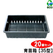 楽天市場】挿し 芽 箱の通販