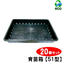 楽天市場】挿し 芽 箱の通販