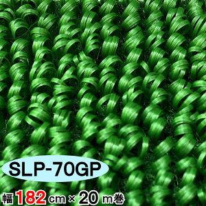 Ő lHŃ[ Y x lHŐ lHŃ}bg Ő}bg i [ [^Cv x_ oRj[ ^ K[fjO K[f {i Y ylHŁz ySLP-70GPz y