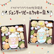 『ジェンダーリビール クッキー缶』散らからない 敬老の日 国産バター おすすめ 可愛い 性別発表 妊娠報…