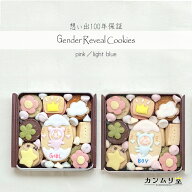 『ジェンダーリビールクッキー缶』おすすめ かわいい 敬老の日 可愛い 性別発表 妊娠報告 お取り寄せ ホ…