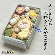 【御出産祝や内祝におすすめ】 NEW BABY缶（手のひらサイズ） 内祝 妊娠報告 アイシングクッキー 名前 ジ…