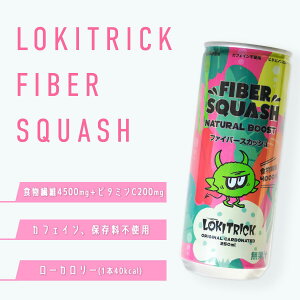 y|Cg10{11159܂ŁzLgbN t@Co[XJbV 250ml [LOKITRICK FIBER SQUASH Y_ H@ mJtFC JtFCt[ Y_ ۑsgp ʔ 20 30 M