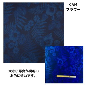 n  CfBS߃vg Rbg lC`[ Vc