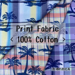 n `FbN vg V̖  100 Ch An