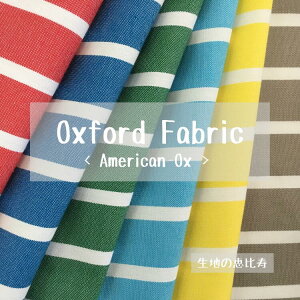 n AJ IbNXtH[h {[_[ 100 {