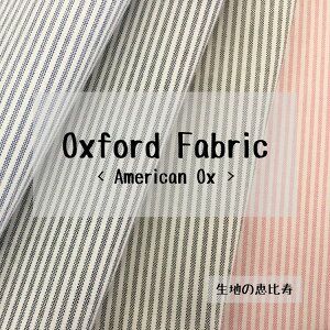 n AJ IbNXtH[h XgCv 100 {