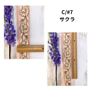 y50cmPʁz`Ae[v Ch{ hJ{ | R nhCh ANZT[