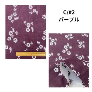 n WJ[h _uK[[ t[ 100 Rbg G \tg _炩 142/144 z