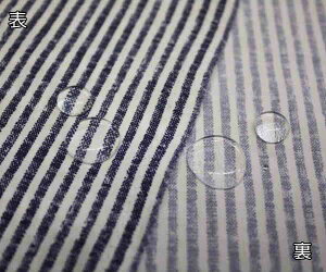 re[WXgCv(c)ElCr[xItzCg vg┖̃|GXe100% H hr[E^t^(D)n w145cm z zn n ʔ { GRobO 50cmȏ1