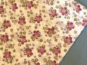 LeBO n a  108cm×10cmP S2F 񂶐F N[F