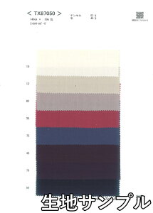 nTv E[ TX87050y [֔z szn J[ eZE[K[[TX87050 uEXXJ[gAs[XAXg[ȂǏɂ