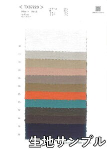 nTv [ TX87220y [֔z szn J[ [RbgTX87220 uEXXJ[gAs[XAXg[ȂǏɂ