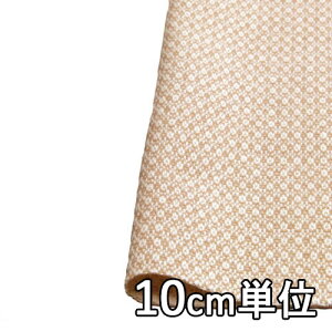 n E[ 45100y10cmPʐ؂蔄 1Jbg3ȏzn J[ hr[cC[h 45100 WPbgXJ[gApc Jo XqȂǏɂ