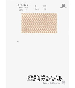 nTv E[ 45100y [֔z szn J[ hr[cC[h45100 WPbgXJ[gApc