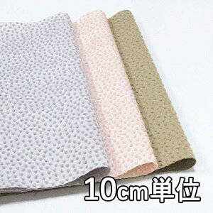 n E[ TX970680y10cmPʐ؂蔄 1Jbg3ȏzn hbgWK[h J[TX970680 WPbgXJ[gAs[XɂXX